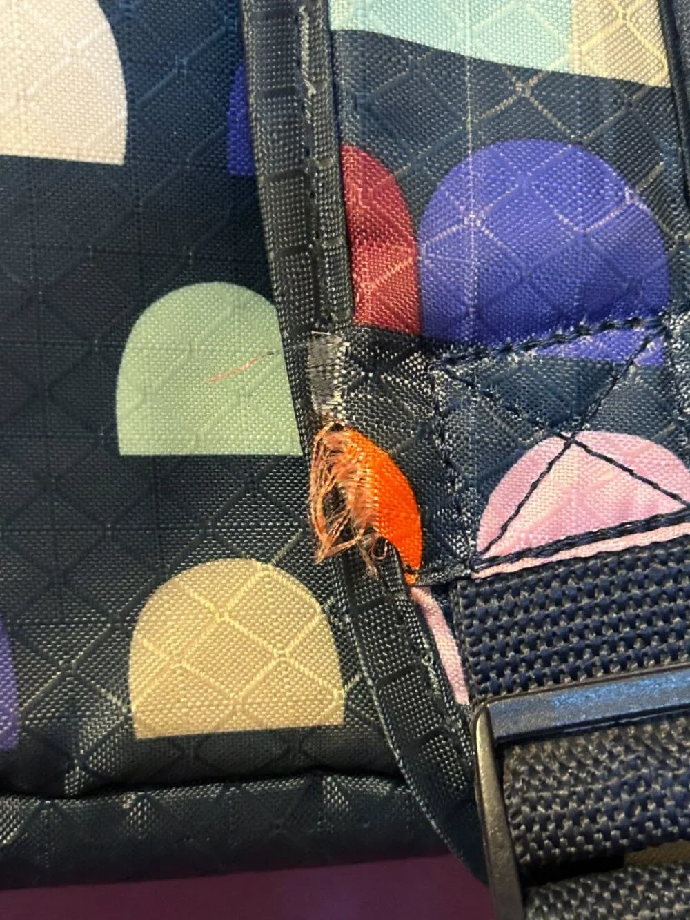 Thirty-one Adventures Backpack